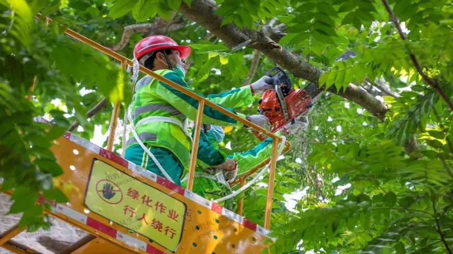 天府机场路立体绿化工程